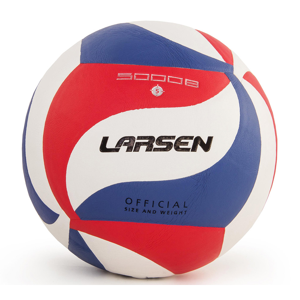 Мяч волейбольный LARSEN
