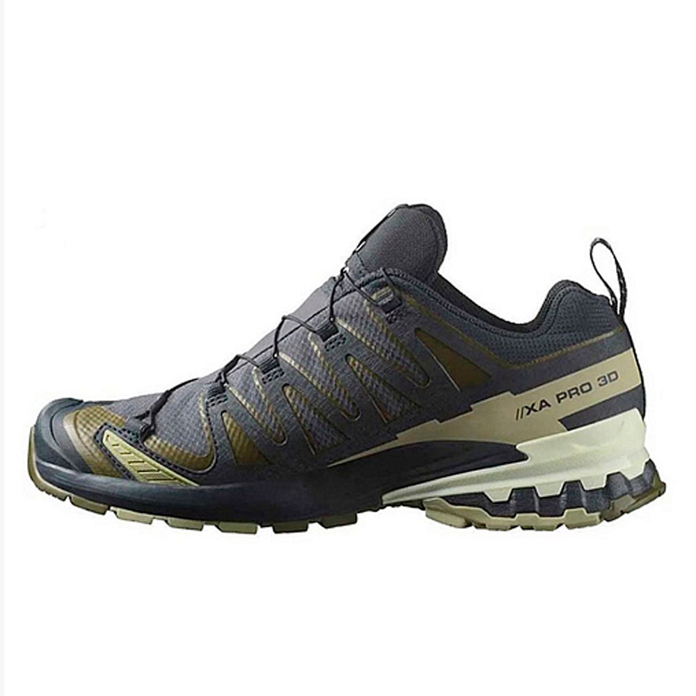 Кроссовки мужские SALOMON XA PRO 3D V9 GTX