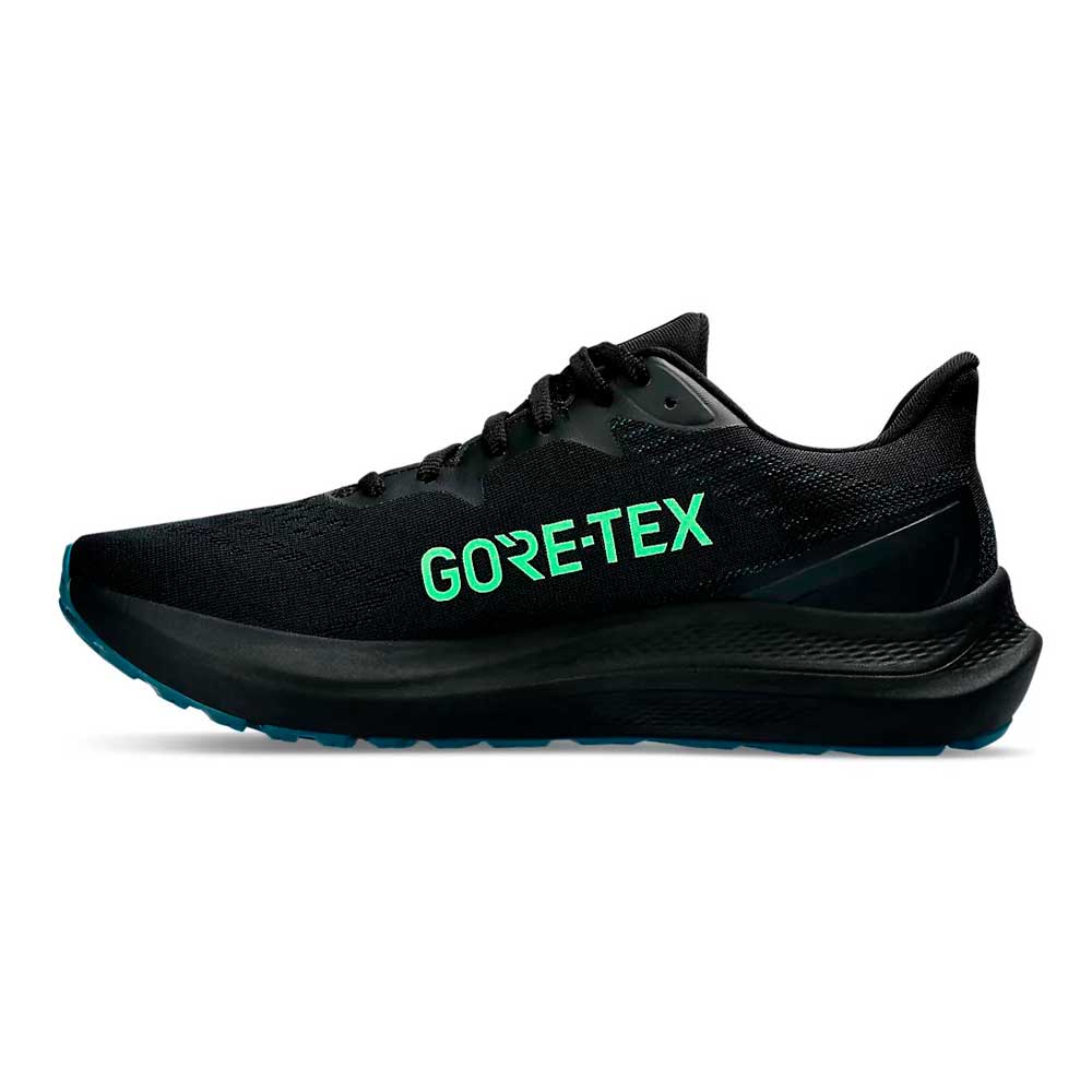 Кроссовки мужские ASICS GT-2000 12 GTX