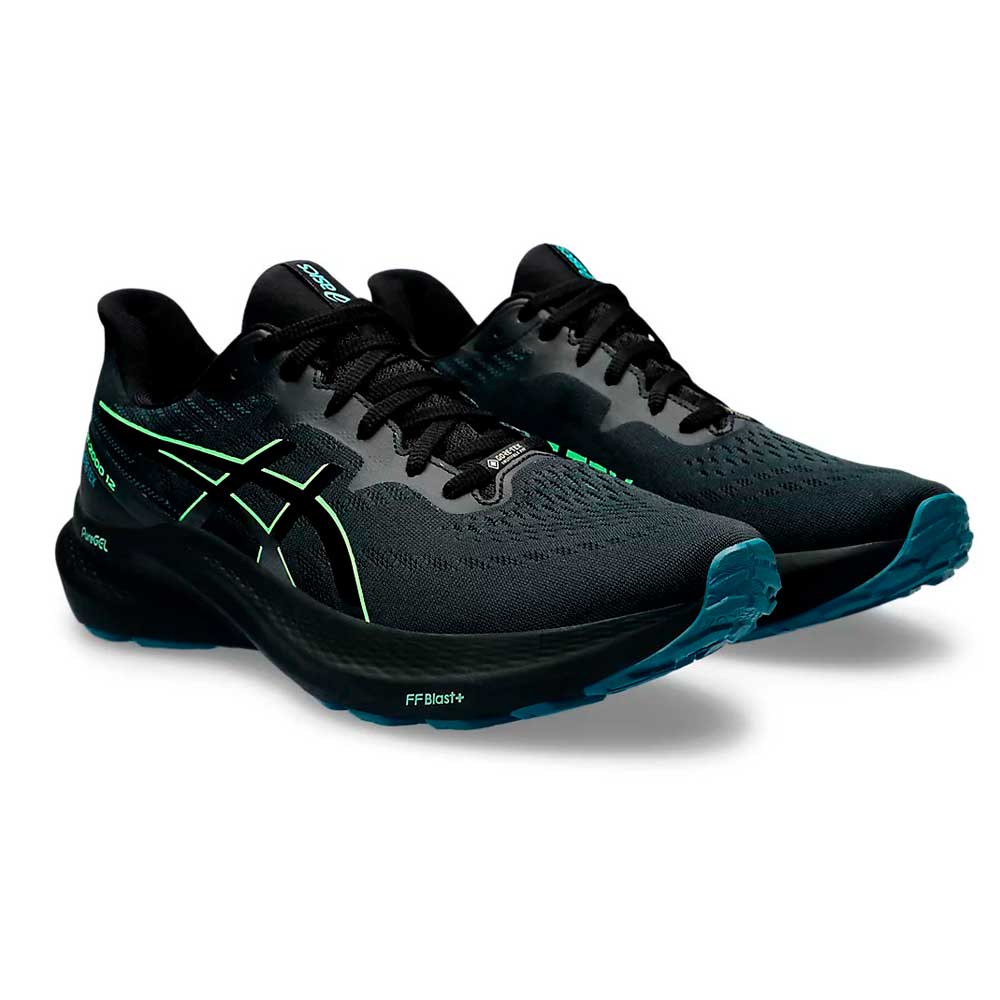 Кроссовки мужские ASICS GT-2000 12 GTX