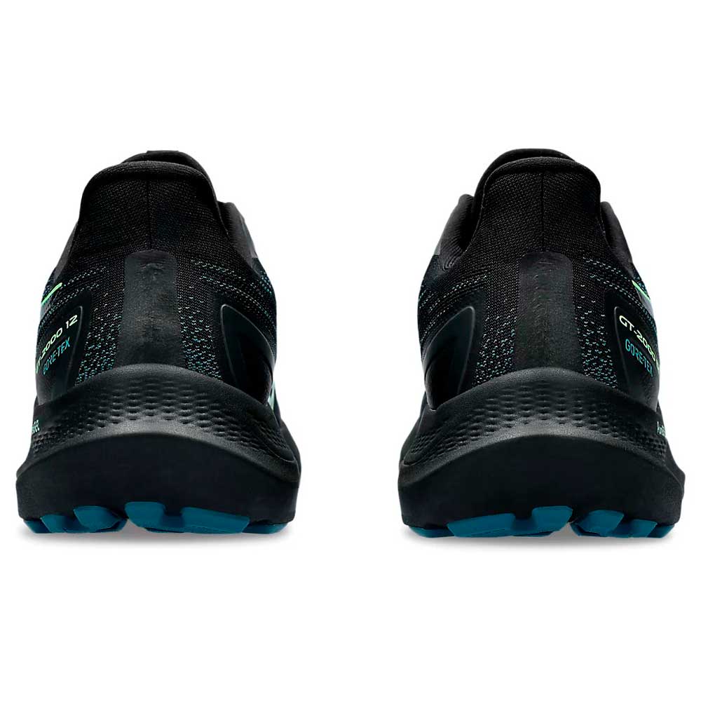 Кроссовки мужские ASICS GT-2000 12 GTX